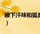 腋下汗味和狐臭怎么分（腋下汗味和狐臭區(qū)別）