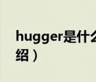 hugger是什么牌子（HUGGIES好奇品牌介紹）