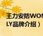 王力安防WONLY品牌介紹（王力安防WONLY品牌介紹）