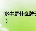 水牛是什么牌子（大水牛BUBALUS品牌介紹）