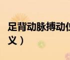 足背動脈搏動位置的意義（足背動脈搏動的意義）