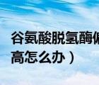 谷氨酸脫氫酶偏高是什么問題（谷氨酸脫氫酶高怎么辦）