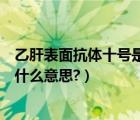 乙肝表面抗體十號是陽性什么意思（乙肝表面抗體陽性十是什么意思?）