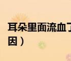 耳朵里面流血了怎么辦（耳朵里流血是什么原因）
