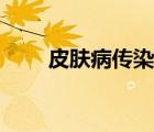 皮膚病傳染癥狀（皮膚病傳染人嗎）