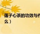 蓮子心茶的功效與作用及泡法（蓮子心茶的功效與作用是什么）