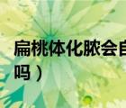 扁桃體化膿會自己痊愈嗎（扁桃體化膿會自愈嗎）