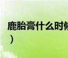 鹿胎膏什么時候服用（鹿胎膏什么時候吃最好）