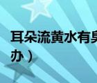 耳朵流黃水有臭味疼（耳朵流黃水有臭味怎么辦）