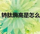 轉(zhuǎn)肽酶高是怎么治療（轉(zhuǎn)肽酶高是怎么回事）