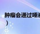 腫瘤會通過唾液傳染（腫瘤會通過唾液傳染嗎）