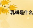 乳蛾是什么癥狀（乳蛾是什么意思）