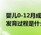 嬰兒0-12月成長發(fā)育過程（嬰兒0-12個月的發(fā)育過程是什么）