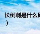 長倒刺是什么原因引起的（長倒刺是什么原因）