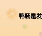 鴨腸是發(fā)物嗎（鴨腸是發(fā)物嗎）