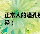 正常人的瞳孔是什么樣子的（正常人的瞳孔直徑）