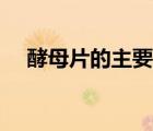 酵母片的主要中藥成分（酵母片的作用）