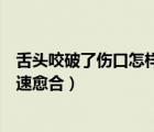 舌頭咬破了傷口怎樣能快速止血（舌頭咬破了傷口怎樣能快速愈合）
