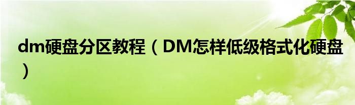 dm硬盤分區(qū)教程（DM怎樣低級格式化硬盤）
