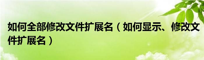 如何全部修改文件擴展名（如何顯示、修改文件擴展名）