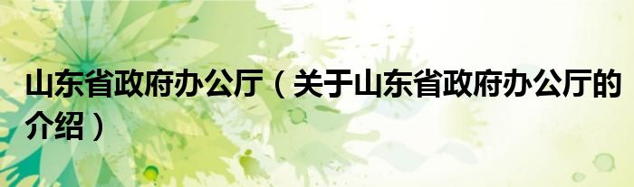 山東省政府辦公廳（關(guān)于山東省政府辦公廳的介紹）