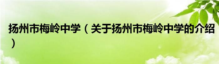 揚州市梅嶺中學（關于揚州市梅嶺中學的介紹）