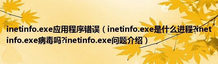 inetinfo.exe應(yīng)用程序錯(cuò)誤（inetinfo.exe是什么進(jìn)程?inetinfo.exe病毒嗎?inetinfo.exe問題介紹）