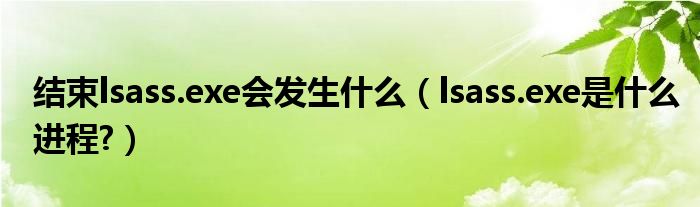 結(jié)束lsass.exe會(huì)發(fā)生什么（lsass.exe是什么進(jìn)程?）