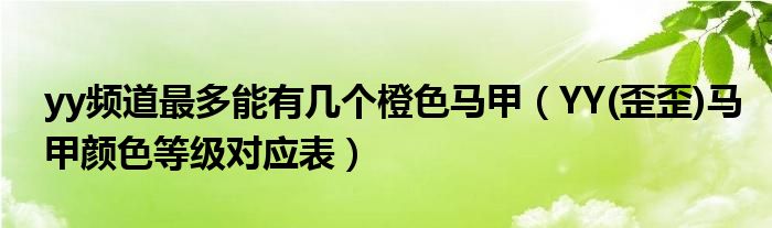 yy頻道最多能有幾個(gè)橙色馬甲（YY(歪歪)馬甲顏色等級(jí)對(duì)應(yīng)表）