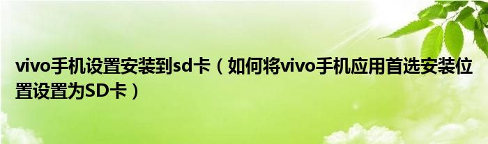 vivo手機設(shè)置安裝到sd卡（如何將vivo手機應(yīng)用首選安裝位置設(shè)置為SD卡）