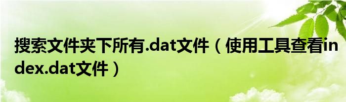 搜索文件夾下所有.dat文件（使用工具查看index.dat文件）