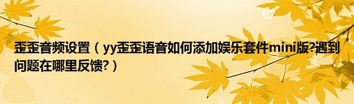 歪歪音頻設(shè)置（yy歪歪語(yǔ)音如何添加娛樂(lè)套件mini版?遇到問(wèn)題在哪里反饋?）