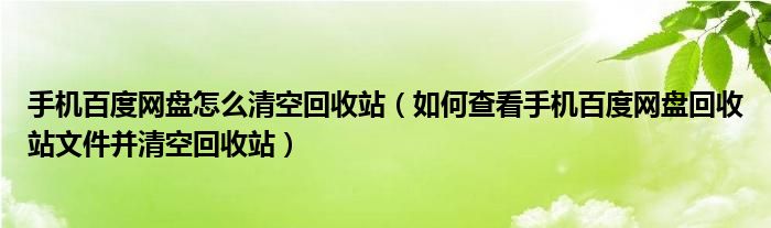 手機(jī)百度網(wǎng)盤(pán)怎么清空回收站（如何查看手機(jī)百度網(wǎng)盤(pán)回收站文件并清空回收站）