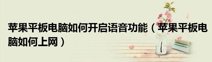 蘋果平板電腦如何開啟語音功能（蘋果平板電腦如何上網(wǎng)）
