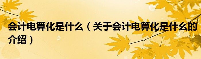 會(huì)計(jì)電算化是什么（關(guān)于會(huì)計(jì)電算化是什么的介紹）