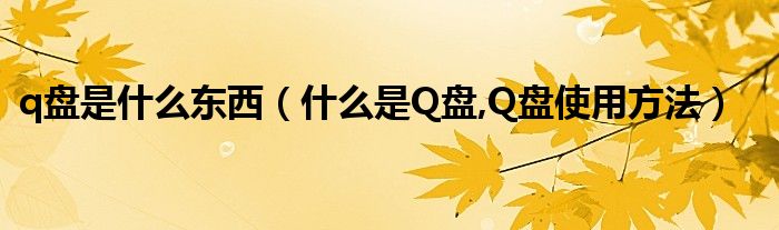 q盤是什么東西（什么是Q盤,Q盤使用方法）