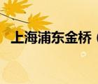 上海浦東金橋（關(guān)于上海浦東金橋的介紹）