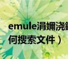emule涓嬭澆鐨勬枃浠跺湪鍝噷（eMule如何搜索文件）