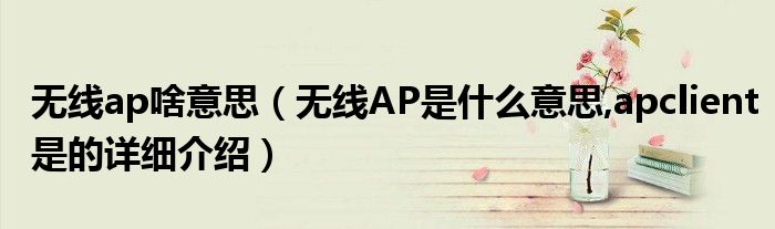 無線ap啥意思（無線AP是什么意思,apclient是的詳細介紹）