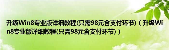 升級(jí)Win8專業(yè)版詳細(xì)教程(只需98元含支付環(huán)節(jié))（升級(jí)Win8專業(yè)版詳細(xì)教程(只需98元含支付環(huán)節(jié))）