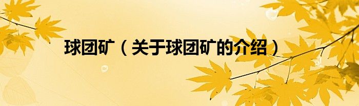 球團礦（關于球團礦的介紹）