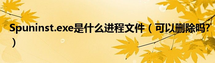 Spuninst.exe是什么進程文件（可以刪除嗎?）