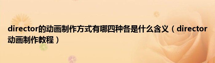 director的動畫制作方式有哪四種各是什么含義（director動畫制作教程）