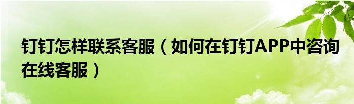 釘釘怎樣聯(lián)系客服（如何在釘釘APP中咨詢在線客服）