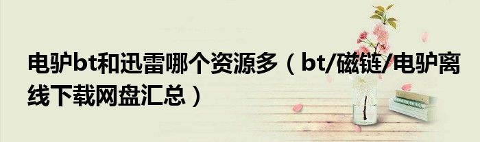 電驢bt和迅雷哪個資源多（bt/磁鏈/電驢離線下載網(wǎng)盤匯總）