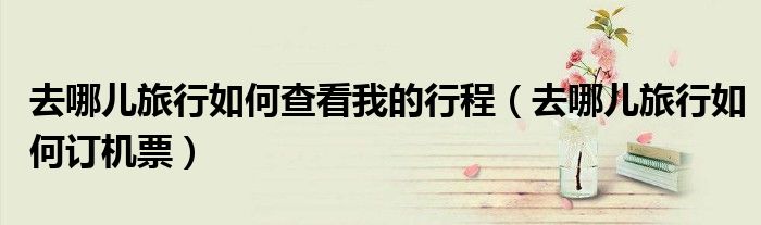 去哪兒旅行如何查看我的行程（去哪兒旅行如何訂機票）