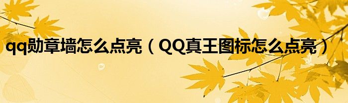 qq勛章墻怎么點(diǎn)亮（QQ真王圖標(biāo)怎么點(diǎn)亮）