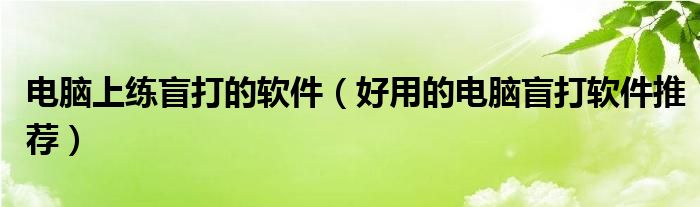 電腦上練盲打的軟件（好用的電腦盲打軟件推薦）