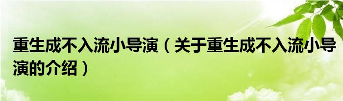 重生成不入流小導(dǎo)演（關(guān)于重生成不入流小導(dǎo)演的介紹）