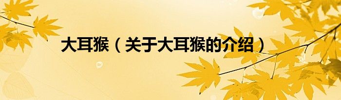 大耳猴（關(guān)于大耳猴的介紹）
